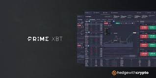 Comprehensive Overview of the Privacy Policy of PrimeXBT